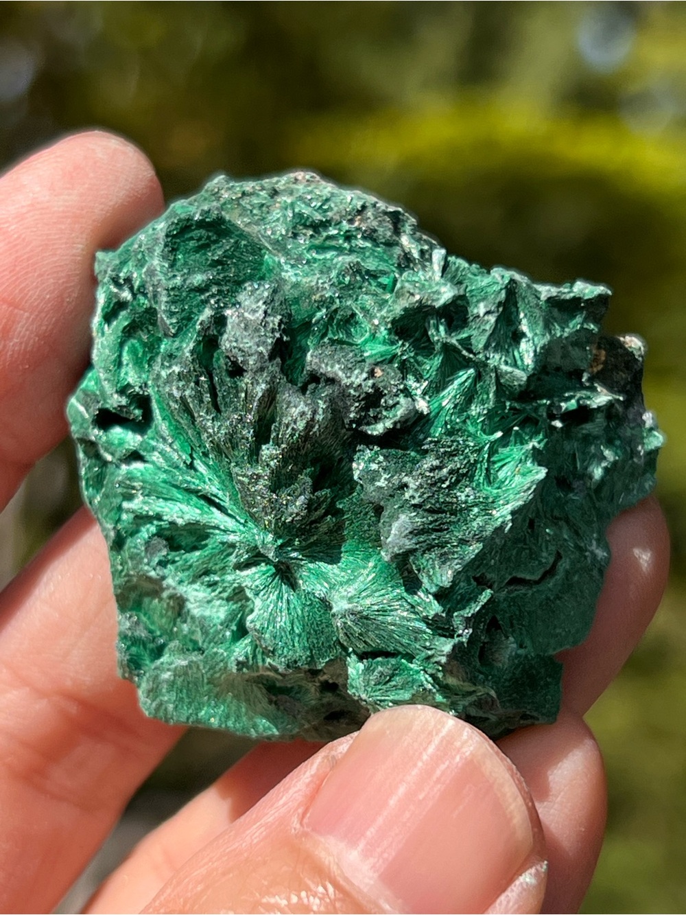 Malachite (15) specimen with stand | crystal